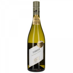 [AUPFATSB] Pfaffl Terroir Sauvignon Blanc 2021